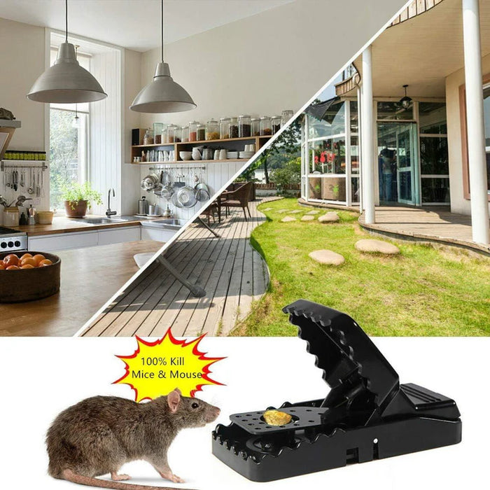 pack of two Universal Mouse Catcher, Indoor Reusable Rat Trap